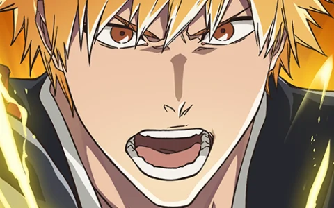 BLEACH: Soul Resonance